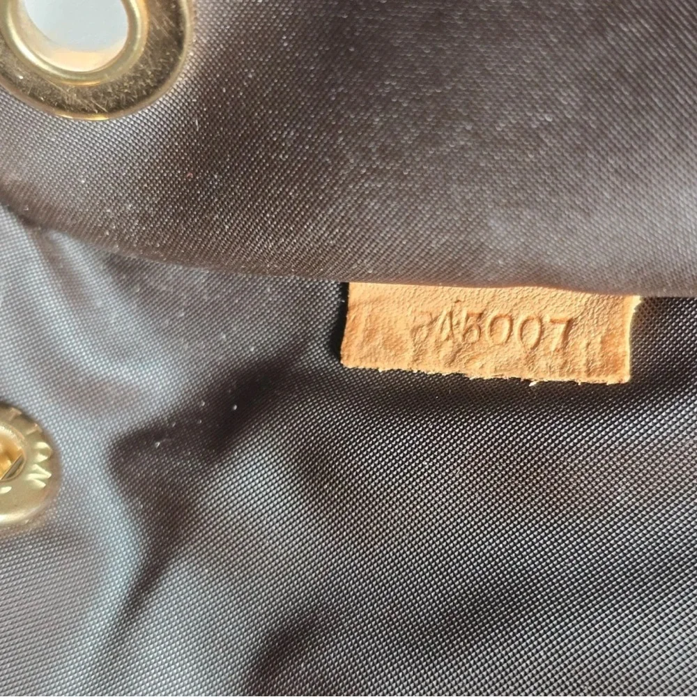 Louis Vuitton dog carrier Monogram Handbag